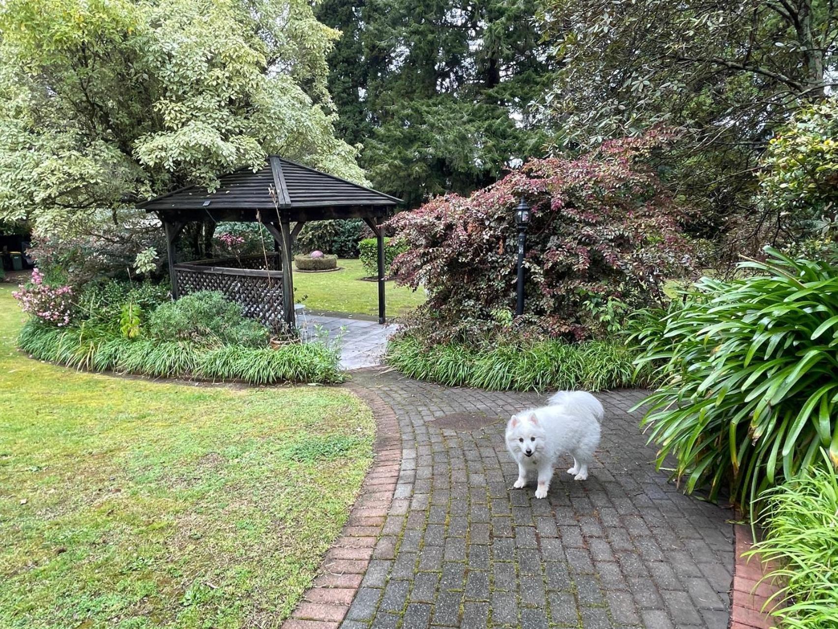 Garden Paradise In Rotorua With Pool エクステリア 写真